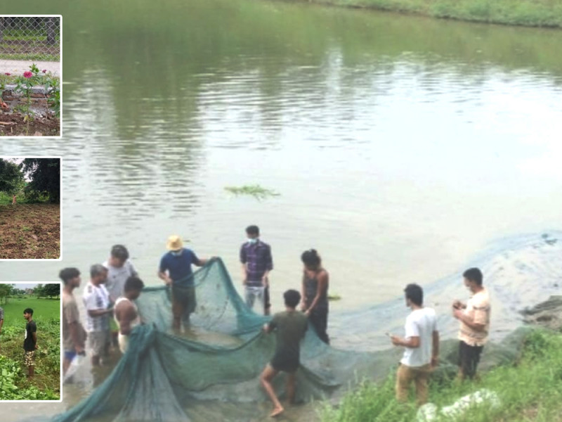चितवनको केशरवागका युवाको सामूहिक कृषि कर्म, जसले झाडी बनिसकेको जमिन फाँडेर खेती गरे